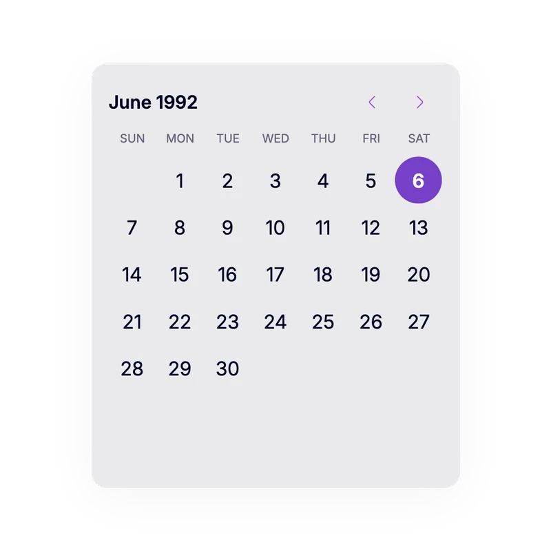Riz date picker interface component